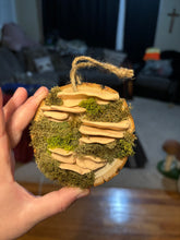 Load image into Gallery viewer, Wooden Mossy Mushroom Wall Art.
