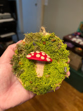 Load image into Gallery viewer, Wooden Mossy Mushroom Wall Art.
