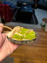 Load image into Gallery viewer, Wooden Mossy Mushroom Wall Art.
