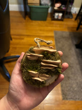 Load image into Gallery viewer, Wooden Mossy Mushroom Wall Art.
