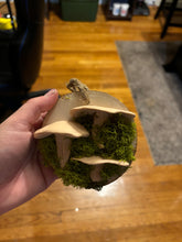 Load image into Gallery viewer, Wooden Mossy Mushroom Wall Art.
