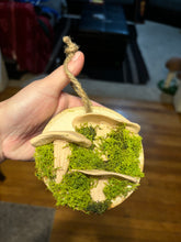 Load image into Gallery viewer, Wooden Mossy Mushroom Wall Art.
