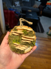 Load image into Gallery viewer, Wooden Mossy Mushroom Wall Art.
