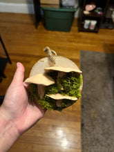 Load image into Gallery viewer, Wooden Mossy Mushroom Wall Art.
