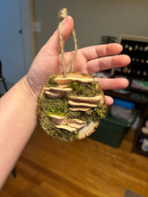 Load image into Gallery viewer, Wooden Mossy Mushroom Wall Art.
