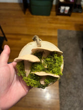 Load image into Gallery viewer, Wooden Mossy Mushroom Wall Art.
