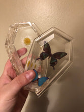 Load image into Gallery viewer, Light-Up Flower &amp; Butterly Coffin Trinket Box
