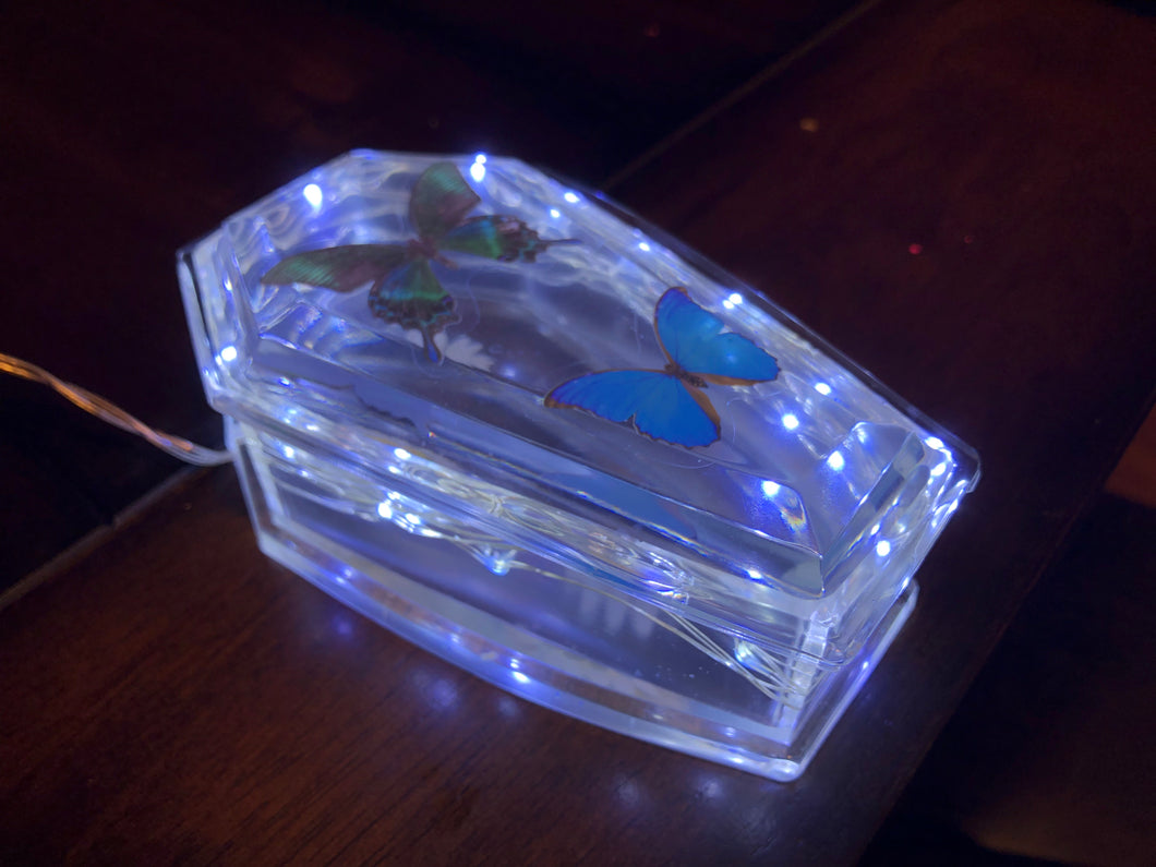 Light-Up Flower & Butterly Coffin Trinket Box